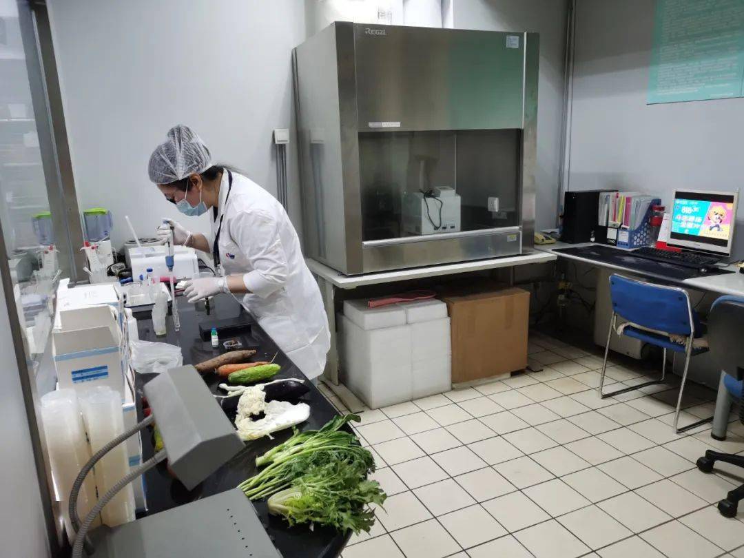 凤县食品检测实验室装修方案